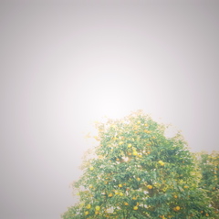 R0018174