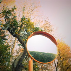 １２月の空気感