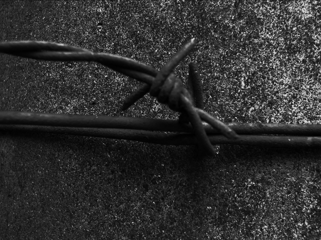 ７月３日の散歩17