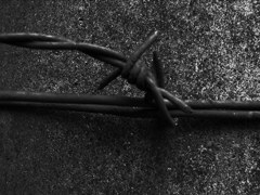 ７月３日の散歩17