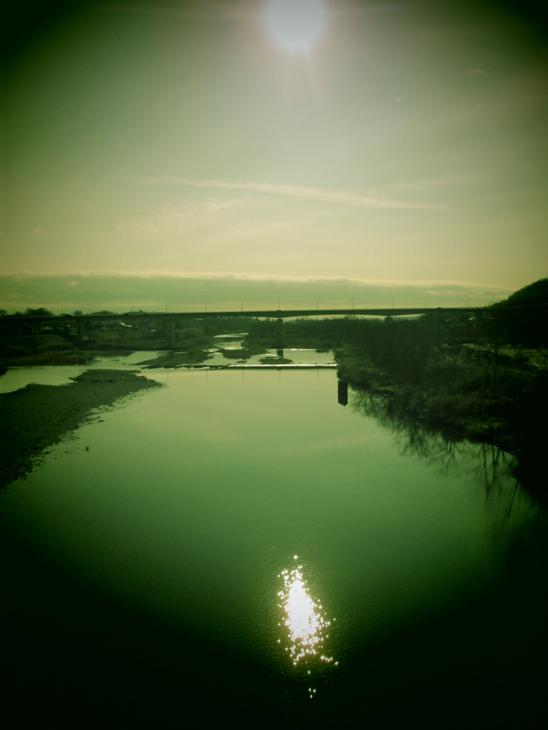 セロハンみたいな日