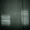R0018563