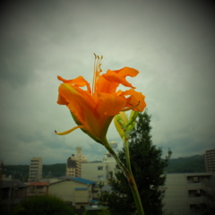 DSCF0050