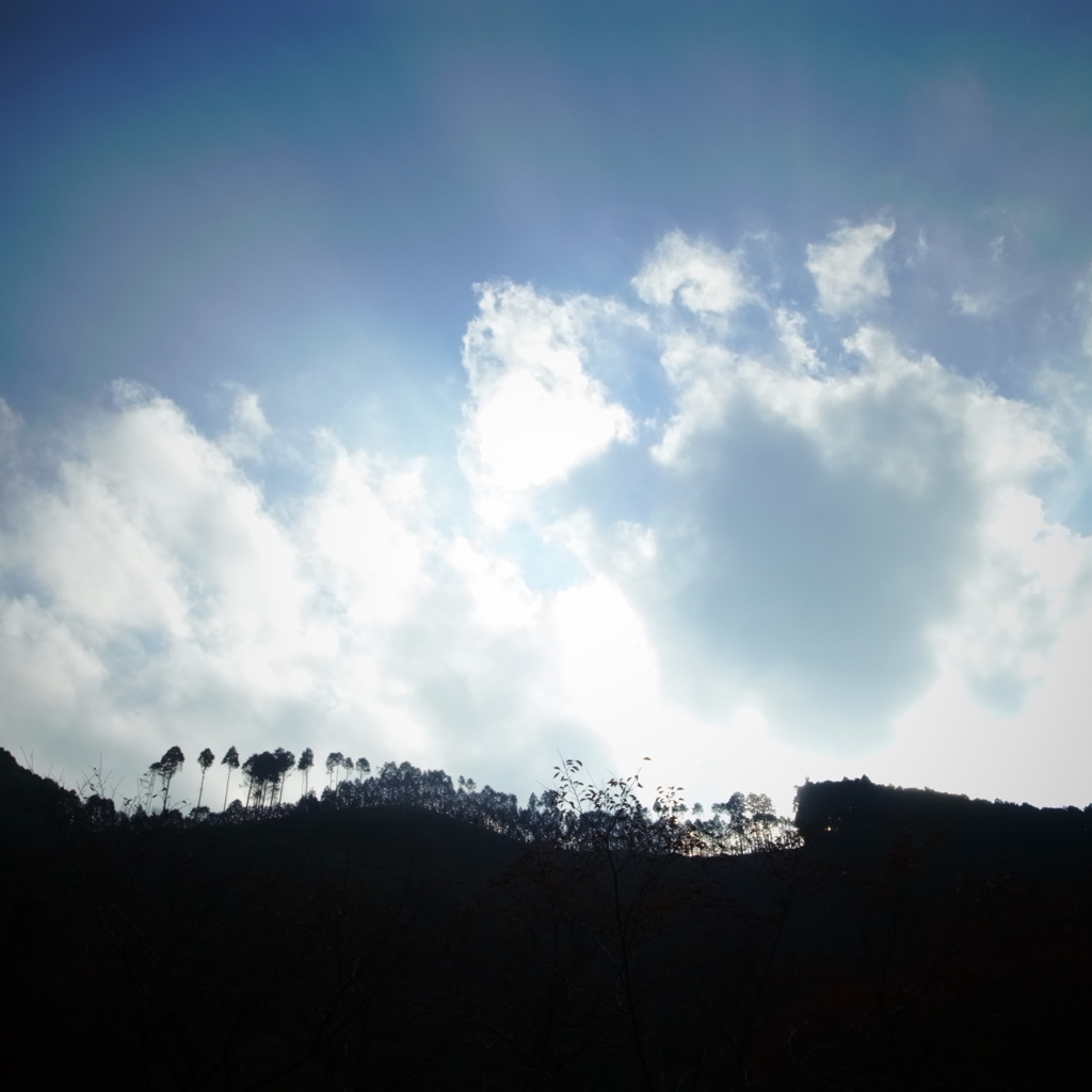 山の上リターンズ