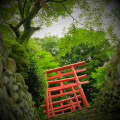 DSCF0053