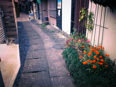 路地裏シリーズ9