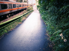 線路沿いを歩く
