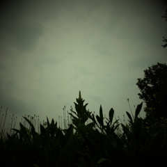 DSCF0222