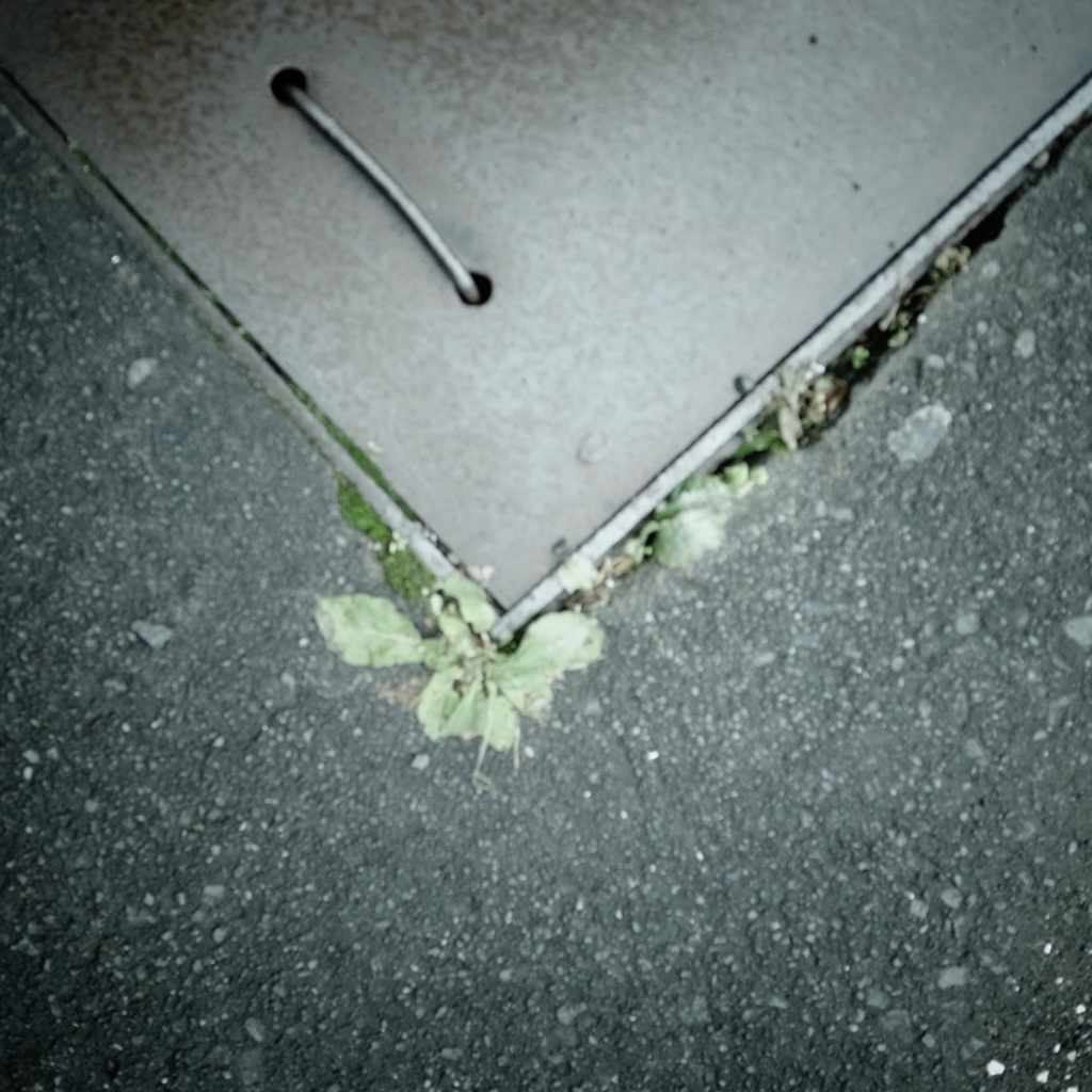 R0017776