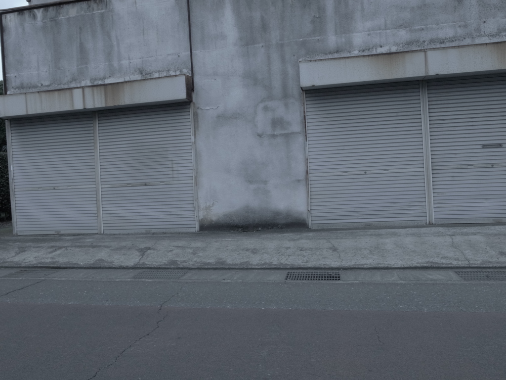 ７月３日の散歩10