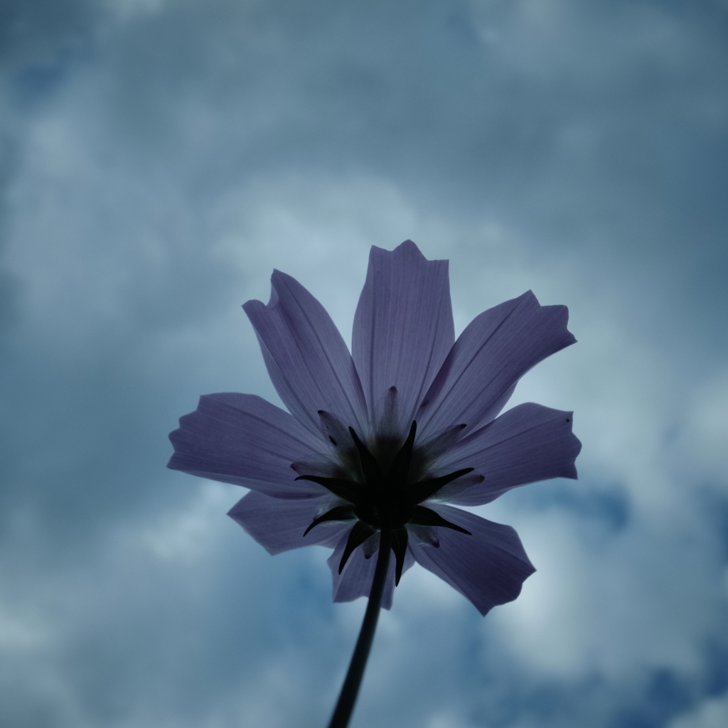 R0021724