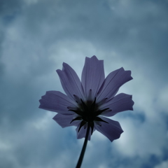R0021724