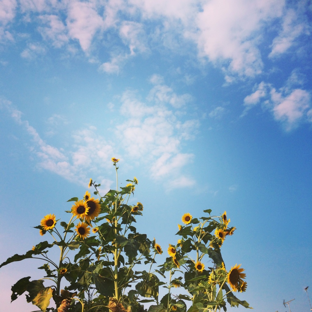 8月