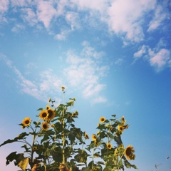 8月