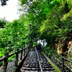 DSCF0046