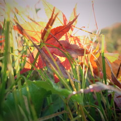 光る2