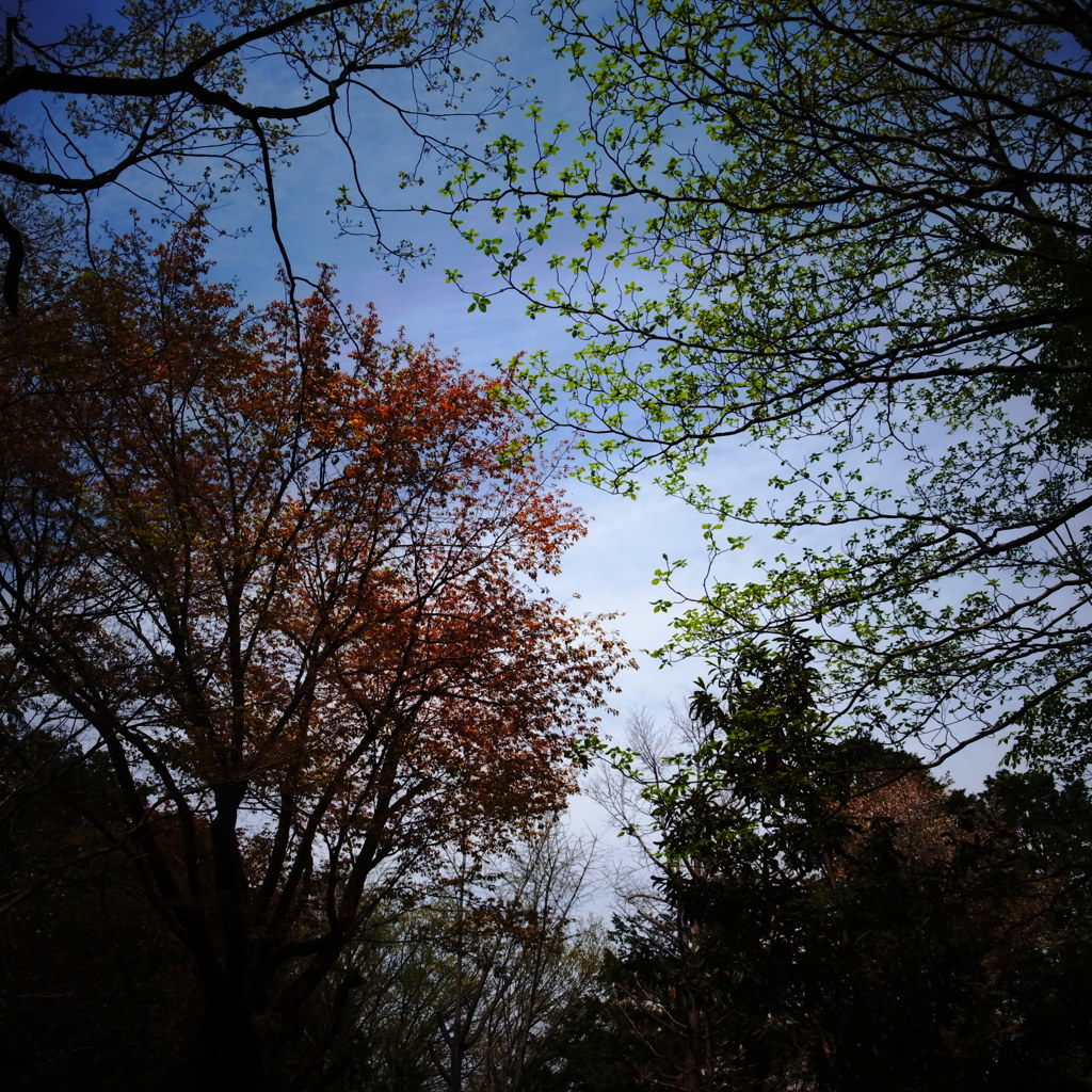 ぼくの憂鬱と天気→時々晴れ11