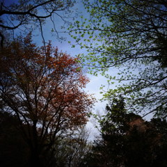ぼくの憂鬱と天気→時々晴れ11