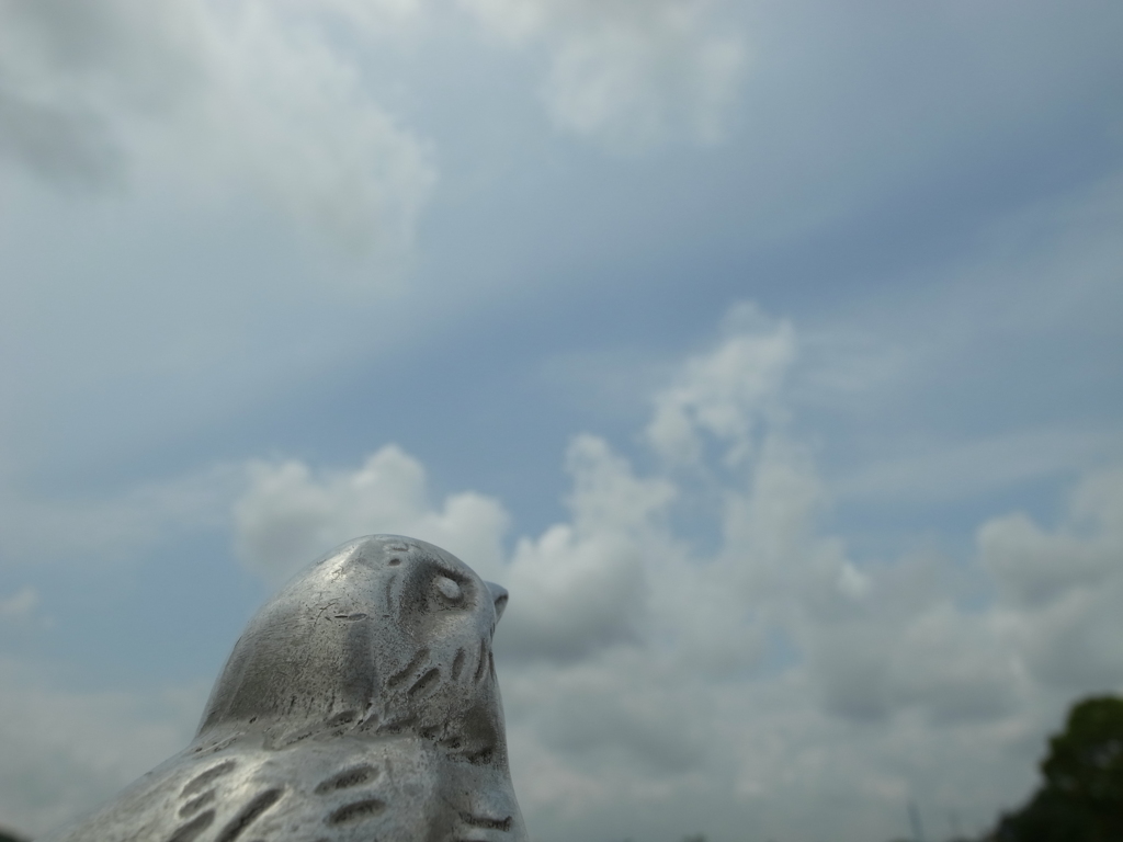 梅雨の晴れ間2