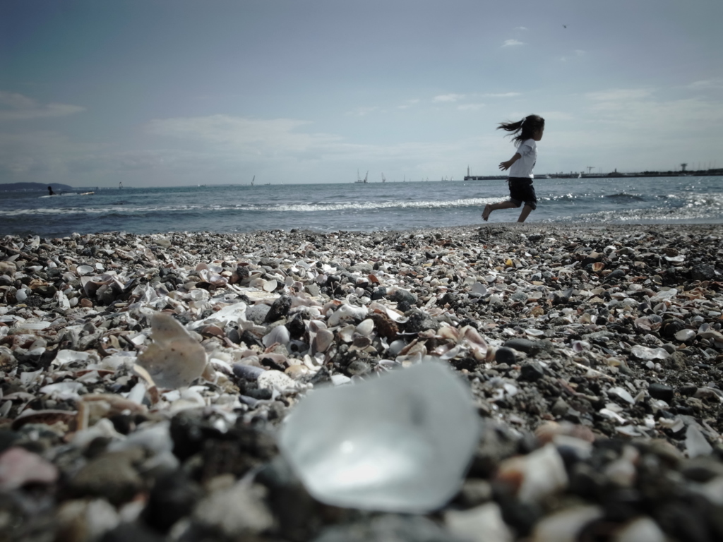 海辺の秋風