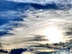 DSCF0109