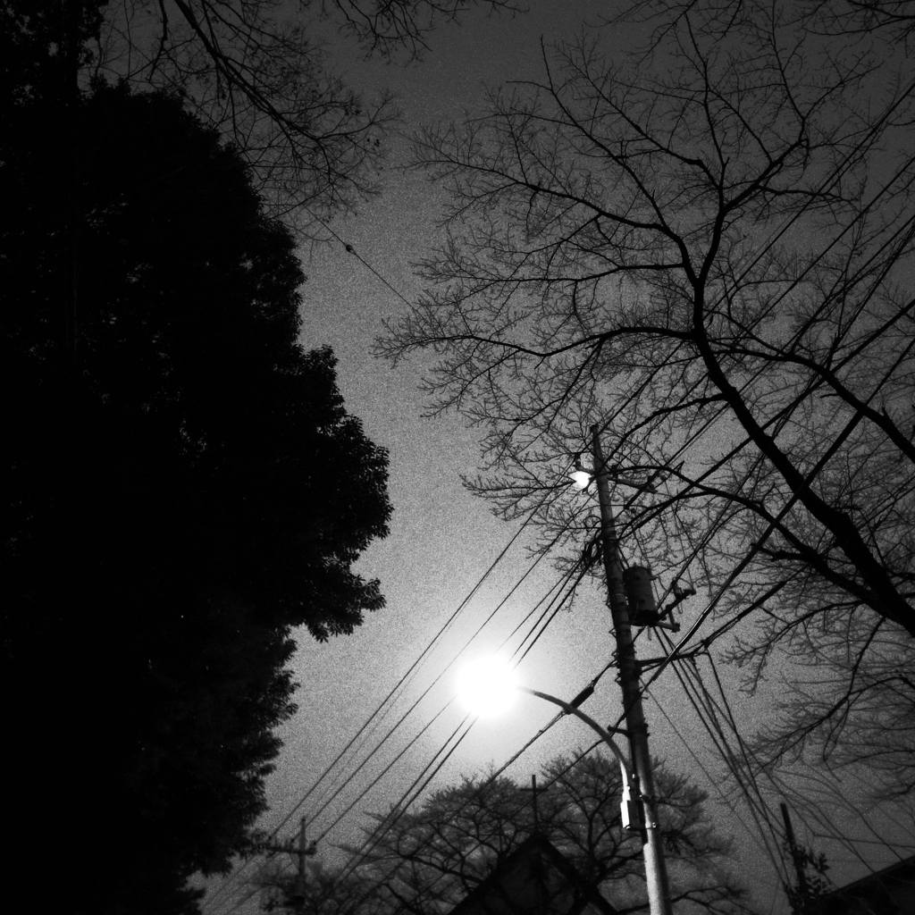 夜道