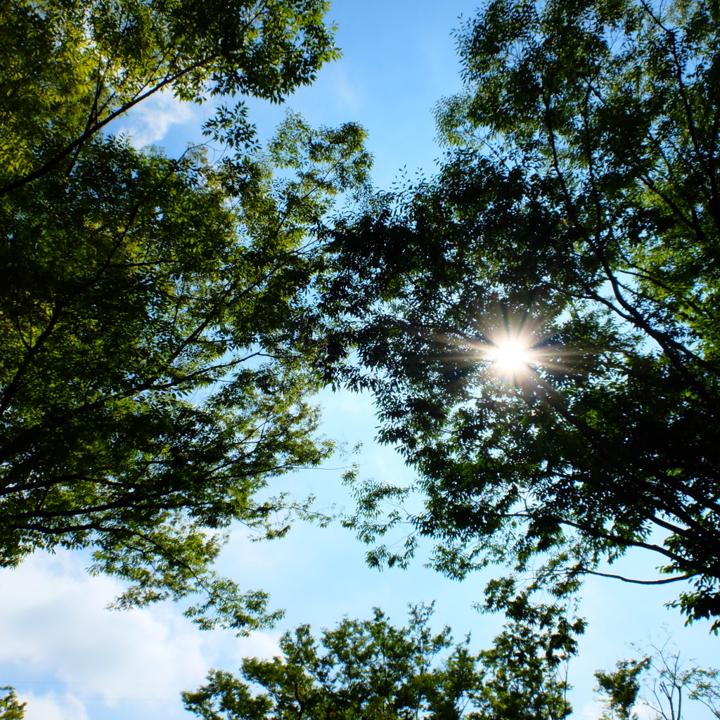 DSCF0124