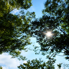 DSCF0124
