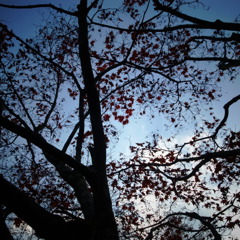 深い空