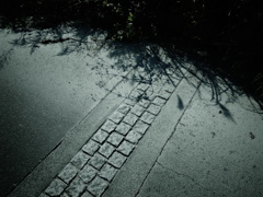 アスファルトと影