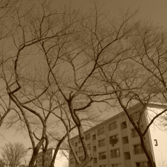 R0022007