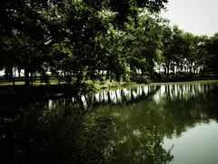 池