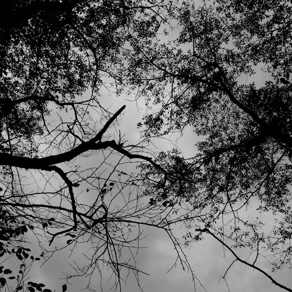 DSCF0199