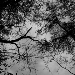 DSCF0199