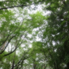 DSCF0019