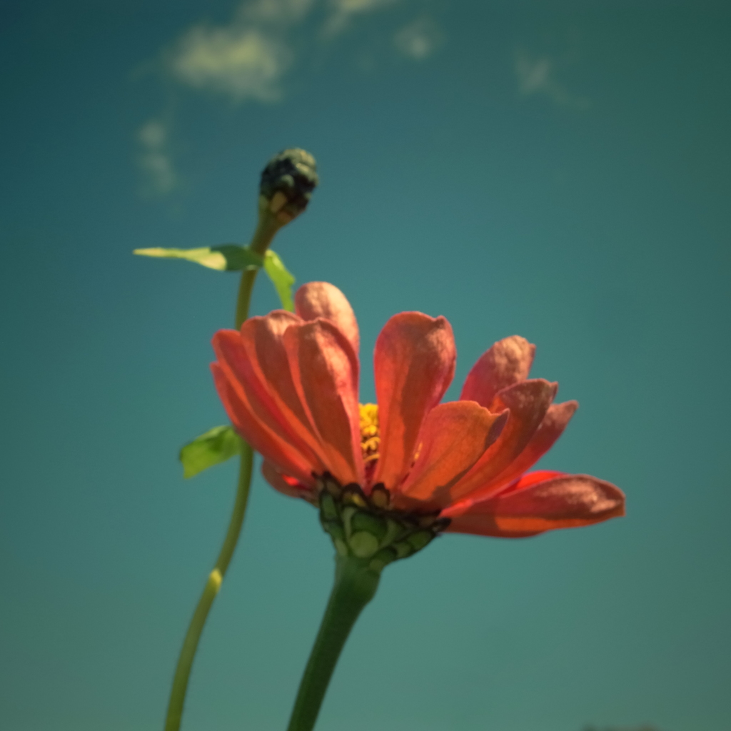 昇華2