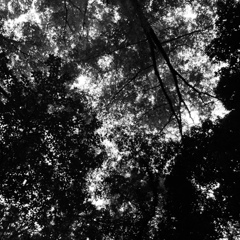DSCF0215