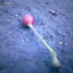 R0021033