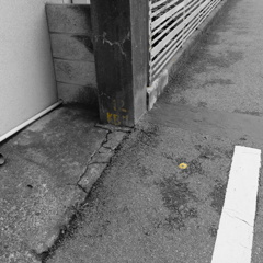 DSCF0062