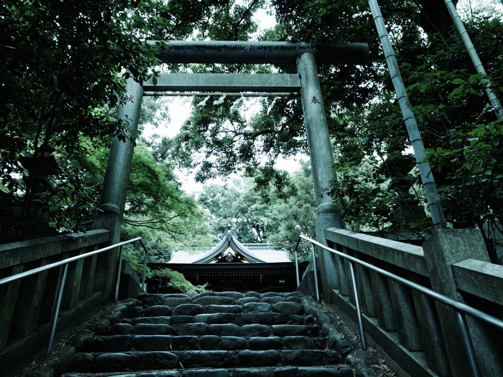 杜2