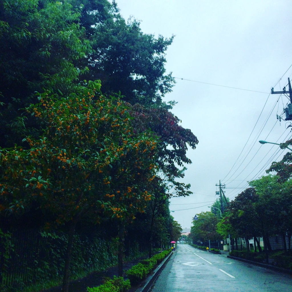 雨の匂いと金木犀