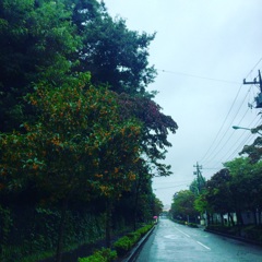 雨の匂いと金木犀