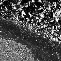 R0018409