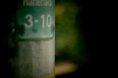 IMGP5436