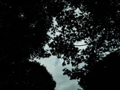 天の川