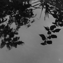 DSCF0205