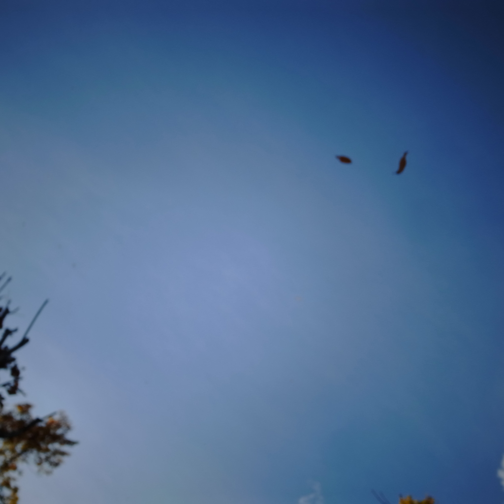 R0017116