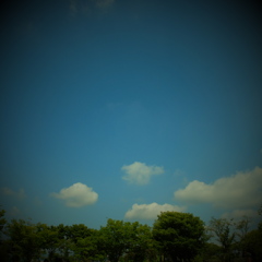 DSCF0120