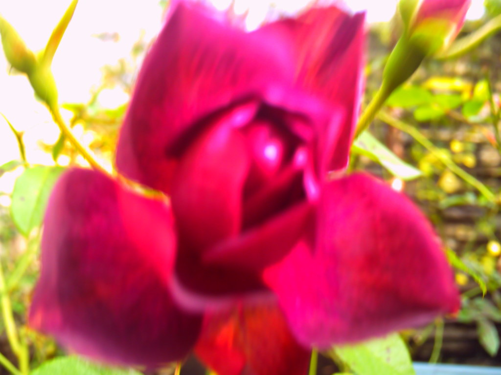 PICT0017