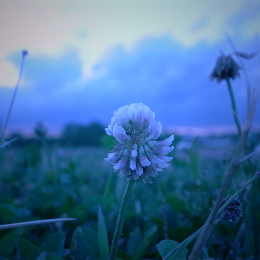 R0021075
